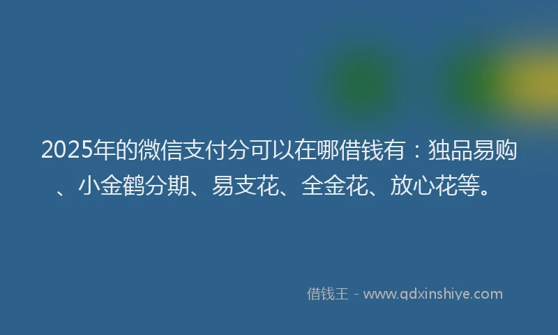 2025年的微信支付分可以在哪借钱有：独品易购、小金鹤分期、易支花、全金花、放心花等。