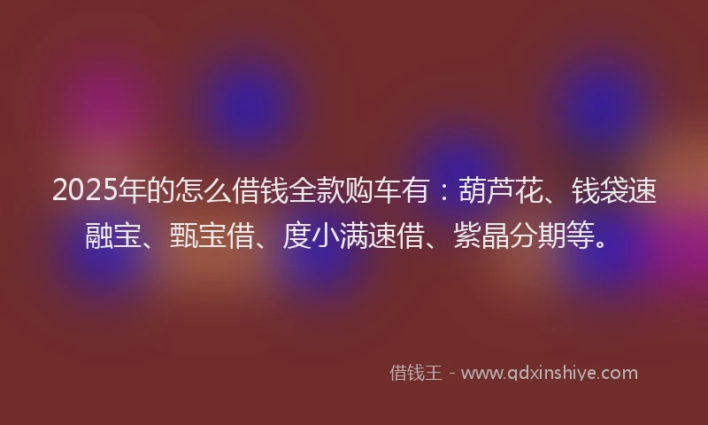 2025年的怎么借钱全款购车有：葫芦花、钱袋速融宝、甄宝借、度小满速借、紫晶分期等。