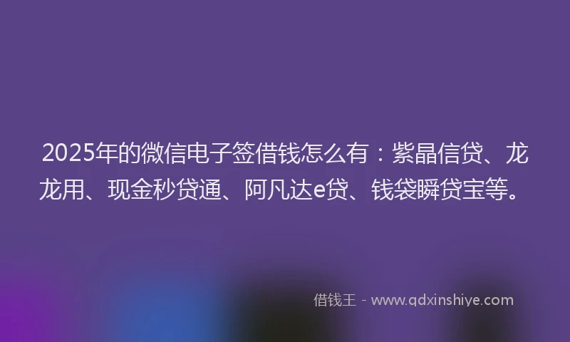 2025年的微信电子签借钱怎么有：紫晶信贷、龙龙用、现金秒贷通、阿凡达e贷、钱袋瞬贷宝等。