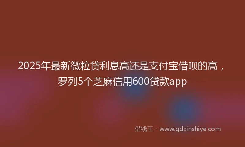 2025年最新微粒贷利息高还是支付宝借呗的高，罗列5个芝麻信用600贷款app