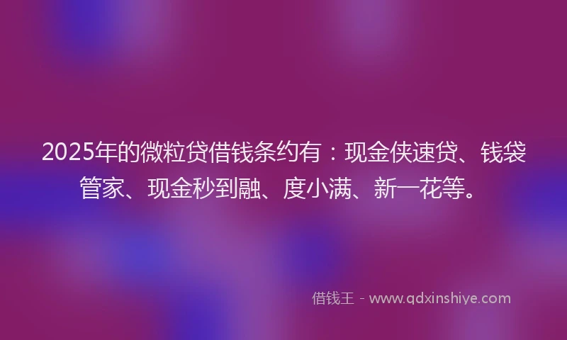 2025年的微粒贷借钱条约有：现金侠速贷、钱袋管家、现金秒到融、度小满、新一花等。