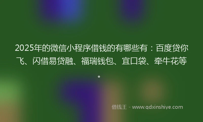 2025年的微信小程序借钱的有哪些有：百度贷你飞、闪借易贷融、福瑞钱包、宜口袋、牵牛花等。