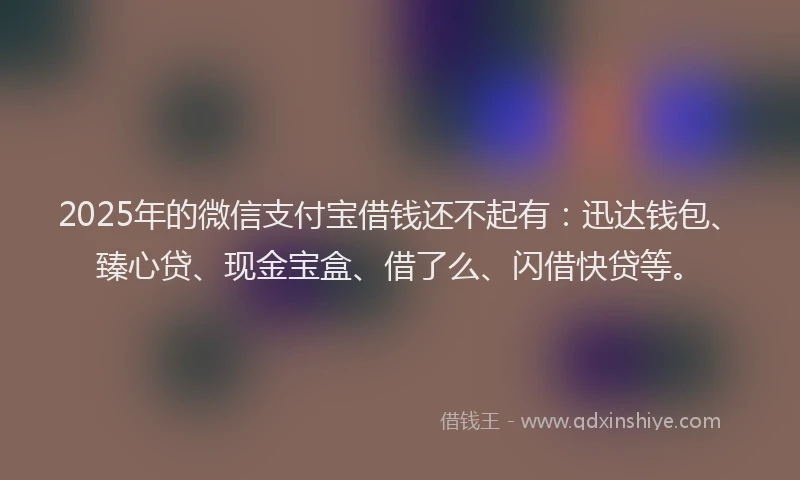 2025年的微信支付宝借钱还不起有：迅达钱包、臻心贷、现金宝盒、借了么、闪借快贷等。