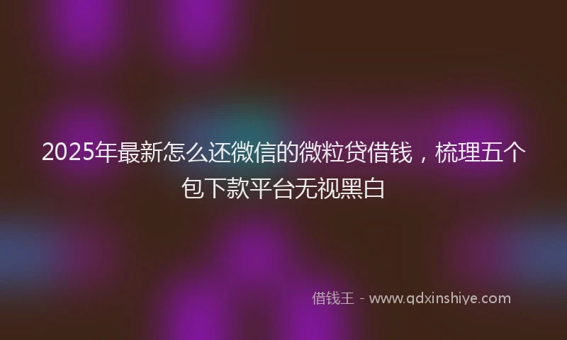 2025年最新怎么还微信的微粒贷借钱，梳理五个包下款平台无视黑白