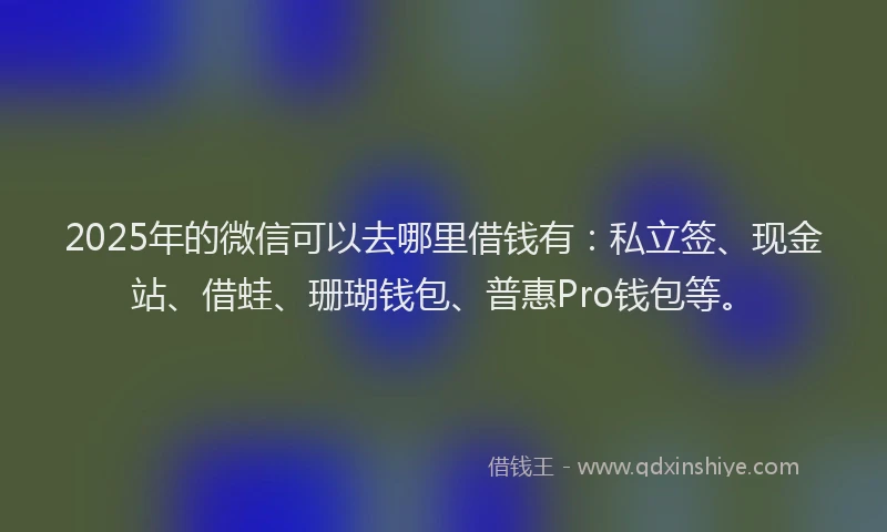 2025年的微信可以去哪里借钱有：私立签、现金站、借蛙、珊瑚钱包、普惠Pro钱包等。
