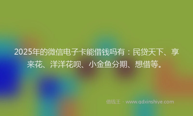 2025年的微信电子卡能借钱吗有：民贷天下、享来花、洋洋花呗、小金鱼分期、想借等。