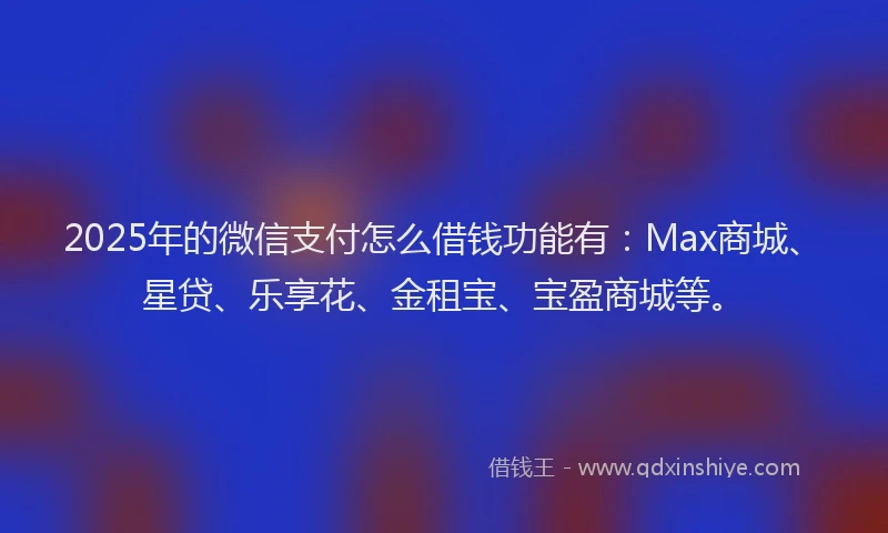 2025年的微信支付怎么借钱功能有：Max商城、星贷、乐享花、金租宝、宝盈商城等。