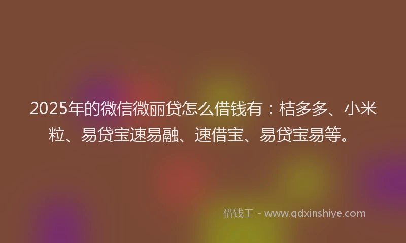 2025年的微信微丽贷怎么借钱有：桔多多、小米粒、易贷宝速易融、速借宝、易贷宝易等。