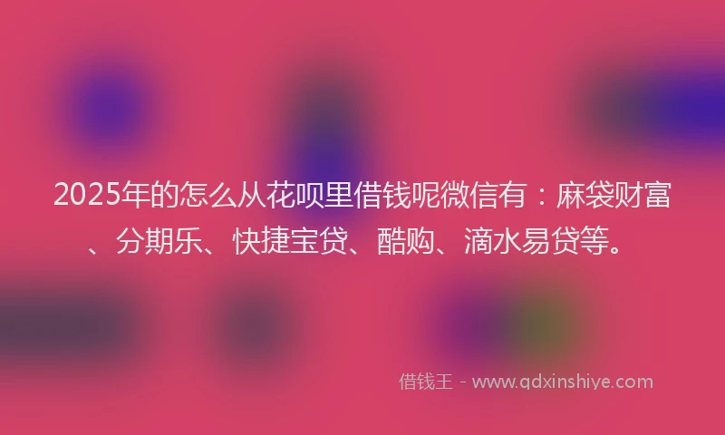 2025年的怎么从花呗里借钱呢微信有：麻袋财富、分期乐、快捷宝贷、酷购、滴水易贷等。