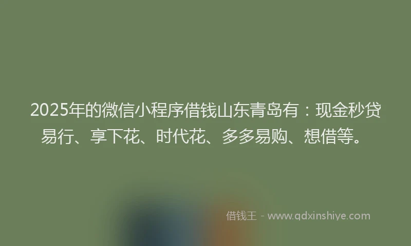 2025年的微信小程序借钱山东青岛有：现金秒贷易行、享下花、时代花、多多易购、想借等。