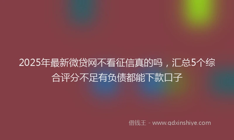 2025年最新微贷网不看征信真的吗，汇总5个综合评分不足有负债都能下款口子