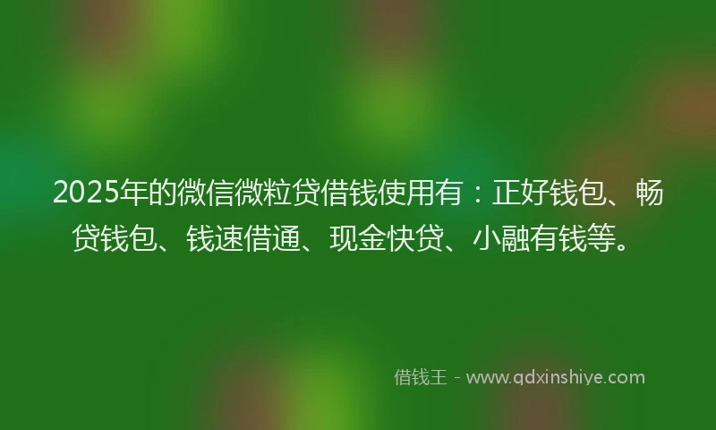 2025年的微信微粒贷借钱使用有：正好钱包、畅贷钱包、钱速借通、现金快贷、小融有钱等。