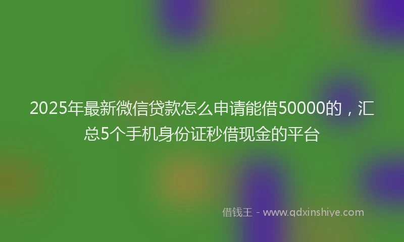 2025年最新微信贷款怎么申请能借50000的，汇总5个手机身份证秒借现金的平台