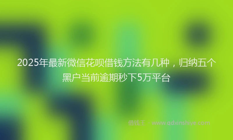 2025年最新微信花呗借钱方法有几种，归纳五个黑户当前逾期秒下5万平台