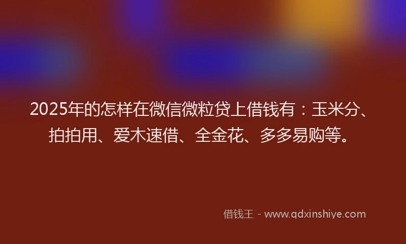 2025年的怎样在微信微粒贷上借钱有：玉米分、拍拍用、爱木速借、全金花、多多易购等。
