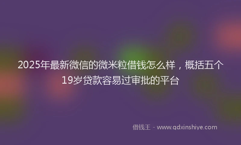 2025年最新微信的微米粒借钱怎么样，概括五个19岁贷款容易过审批的平台