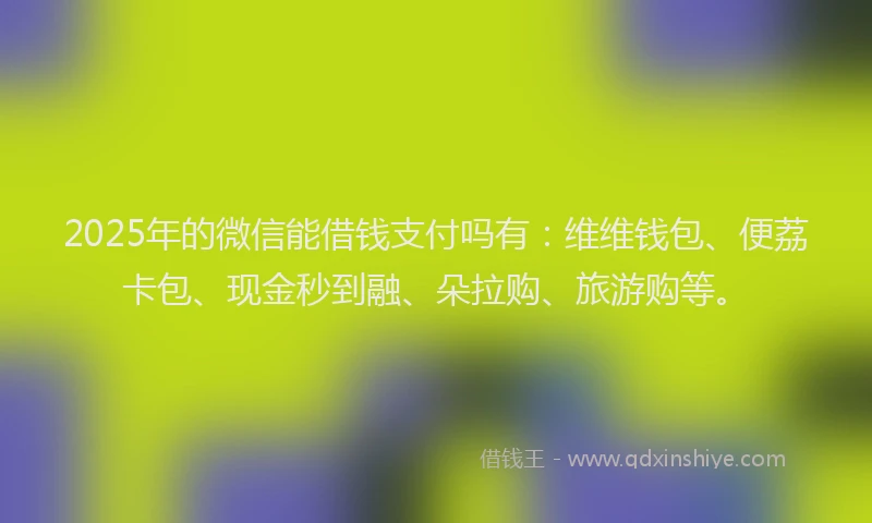 2025年的微信能借钱支付吗有：维维钱包、便荔卡包、现金秒到融、朵拉购、旅游购等。