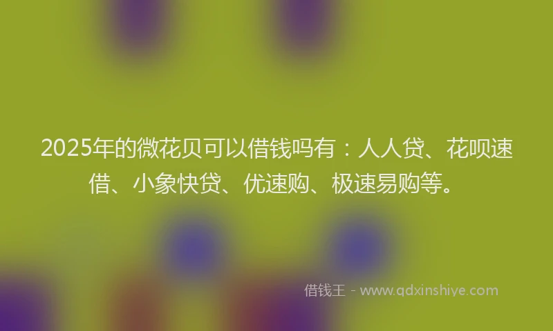 2025年的微花贝可以借钱吗有：人人贷、花呗速借、小象快贷、优速购、极速易购等。