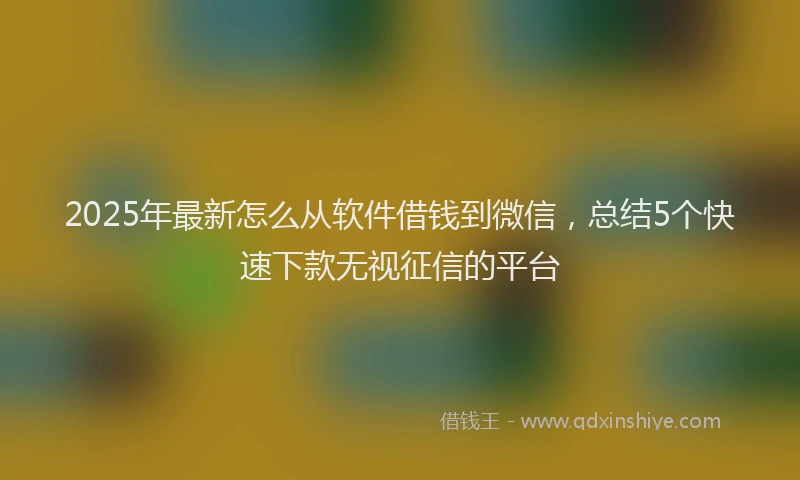 2025年最新怎么从软件借钱到微信，总结5个快速下款无视征信的平台
