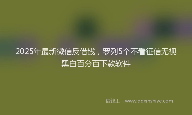 2025年最新微信反借钱，罗列5个不看征信无视黑白百分百下款软件