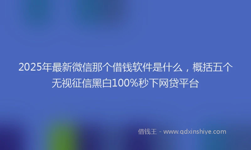 2025年最新微信那个借钱软件是什么，概括五个无视征信黑白100%秒下网贷平台