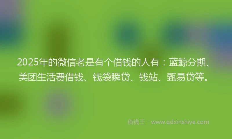 2025年的微信老是有个借钱的人有：蓝鲸分期、美团生活费借钱、钱袋瞬贷、钱站、甄易贷等。