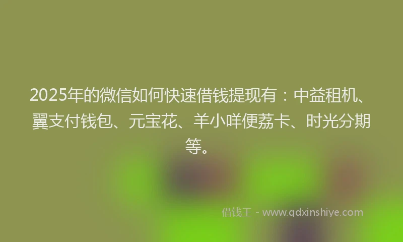 2025年的微信如何快速借钱提现有：中益租机、翼支付钱包、元宝花、羊小咩便荔卡、时光分期等。