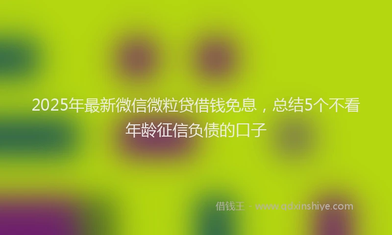2025年最新微信微粒贷借钱免息，总结5个不看年龄征信负债的口子