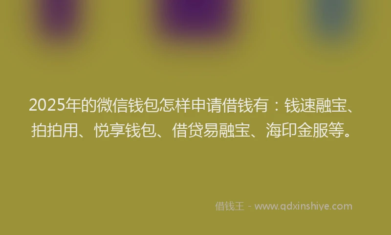 2025年的微信钱包怎样申请借钱有：钱速融宝、拍拍用、悦享钱包、借贷易融宝、海印金服等。