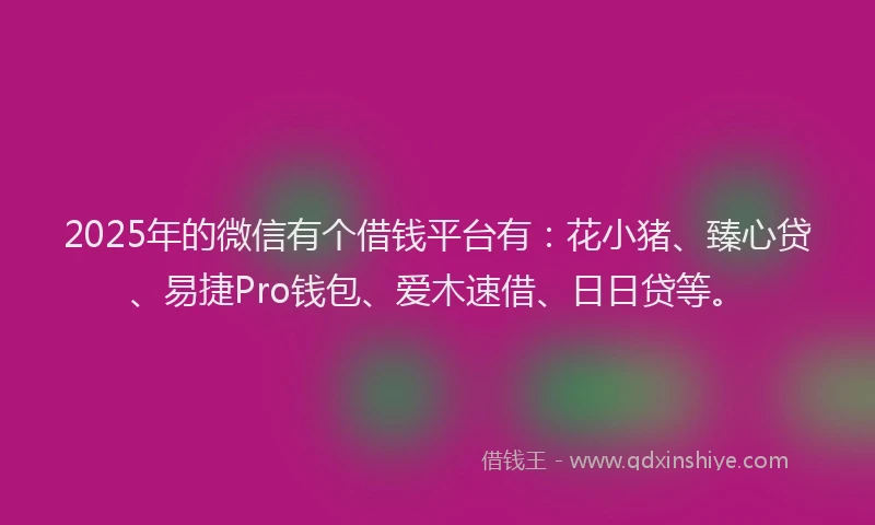 2025年的微信有个借钱平台有：花小猪、臻心贷、易捷Pro钱包、爱木速借、日日贷等。