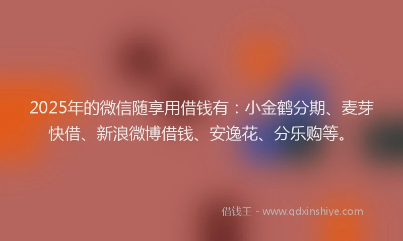 2025年的微信随享用借钱有：小金鹤分期、麦芽快借、新浪微博借钱、安逸花、分乐购等。