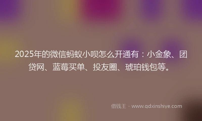 2025年的微信蚂蚁小呗怎么开通有：小金象、团贷网、蓝莓买单、投友圈、琥珀钱包等。