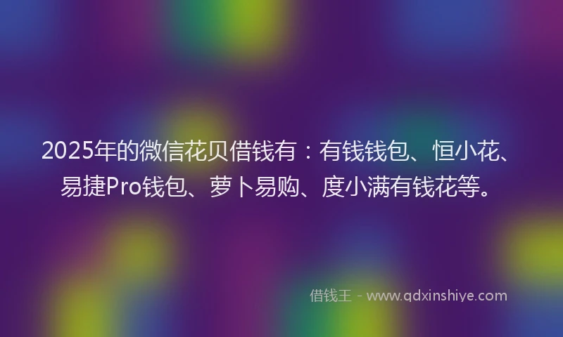 2025年的微信花贝借钱有：有钱钱包、恒小花、易捷Pro钱包、萝卜易购、度小满有钱花等。