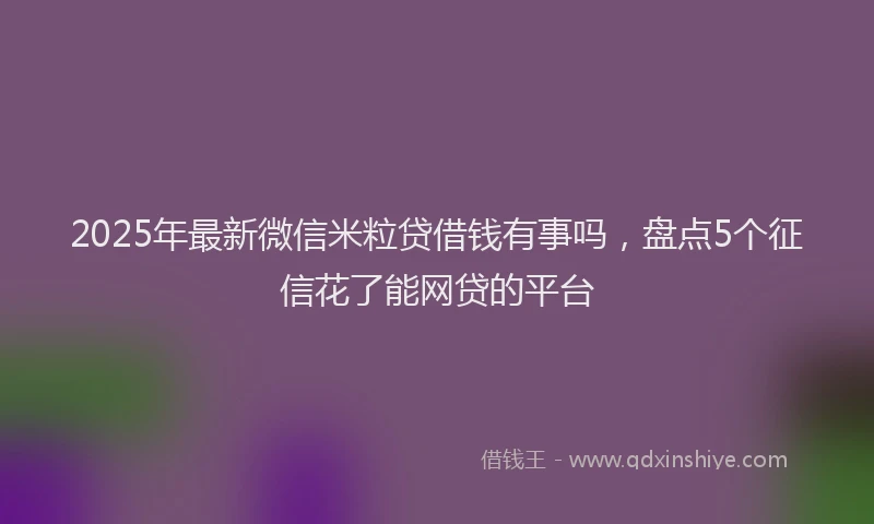 2025年最新微信米粒贷借钱有事吗，盘点5个征信花了能网贷的平台