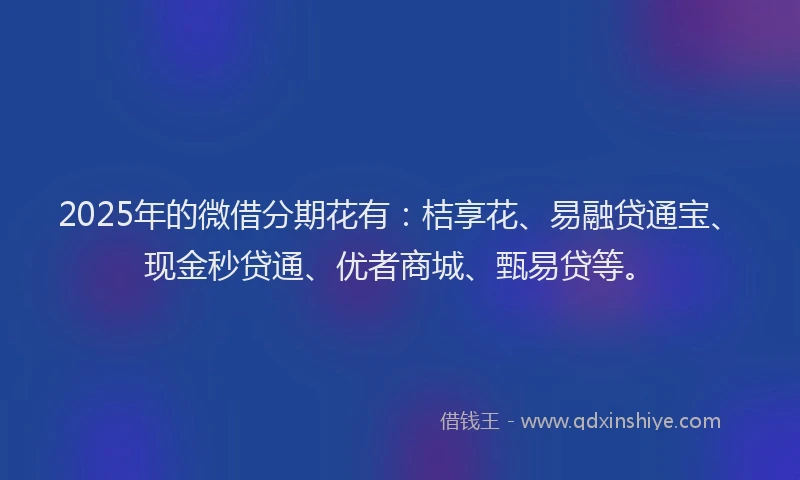 2025年的微借分期花有：桔享花、易融贷通宝、现金秒贷通、优者商城、甄易贷等。