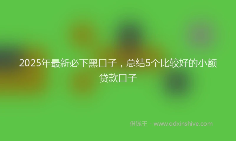 2025年最新必下黑口子，总结5个比较好的小额贷款口子