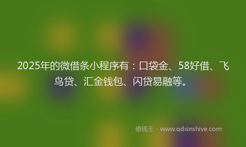 2025年的微借条小程序有：口袋金、58好借、飞鸟贷、汇金钱包、闪贷易融等。