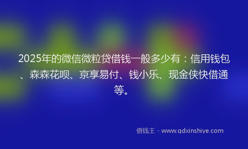 2025年的微信微粒贷借钱一般多少有：信用钱包、森森花呗、京享易付、钱小乐、现金侠快借通等。