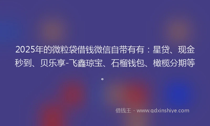 2025年的微粒袋借钱微信自带有有：星贷、现金秒到、贝乐享-飞鑫琼宝、石榴钱包、橄榄分期等。