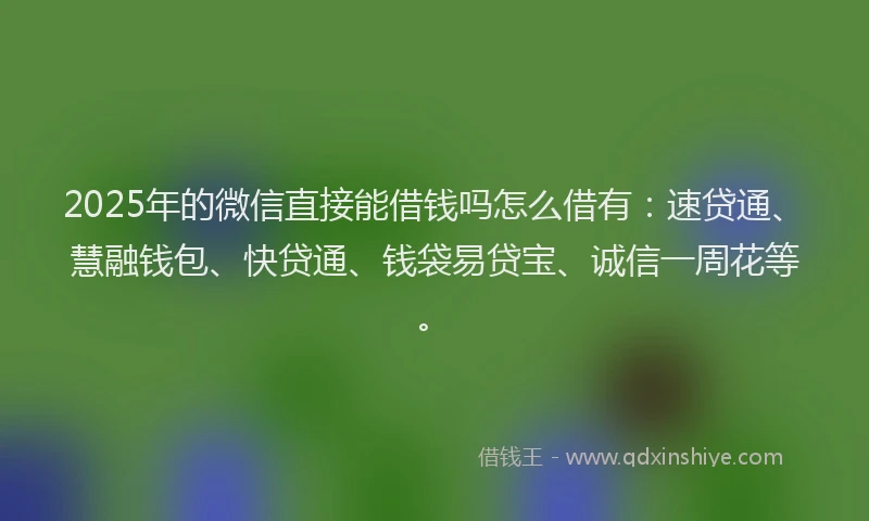2025年的微信直接能借钱吗怎么借有：速贷通、慧融钱包、快贷通、钱袋易贷宝、诚信一周花等。