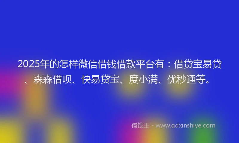 2025年的怎样微信借钱借款平台有：借贷宝易贷、森森借呗、快易贷宝、度小满、优秒通等。