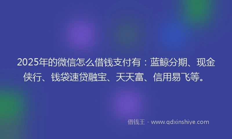 2025年的微信怎么借钱支付有：蓝鲸分期、现金侠行、钱袋速贷融宝、天天富、信用易飞等。