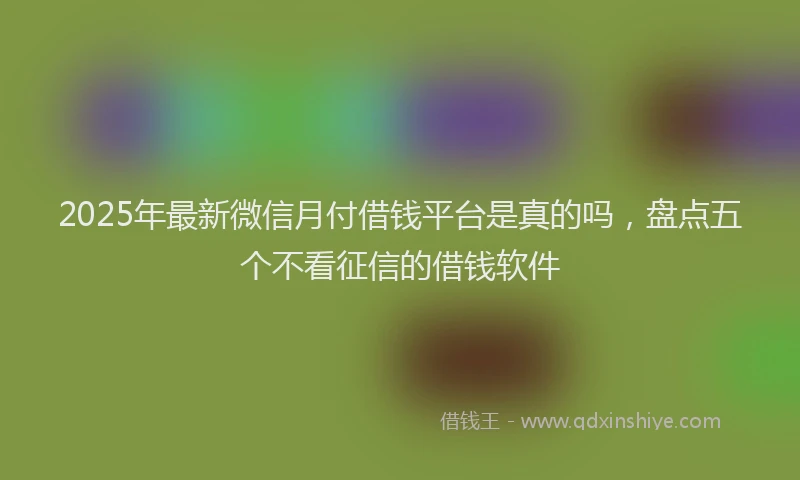 2025年最新微信月付借钱平台是真的吗，盘点五个不看征信的借钱软件