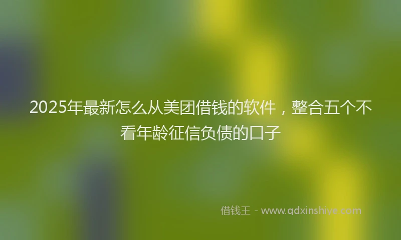 2025年最新怎么从美团借钱的软件，整合五个不看年龄征信负债的口子