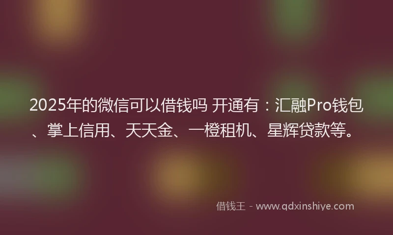 2025年的微信可以借钱吗 开通有：汇融Pro钱包、掌上信用、天天金、一橙租机、星辉贷款等。
