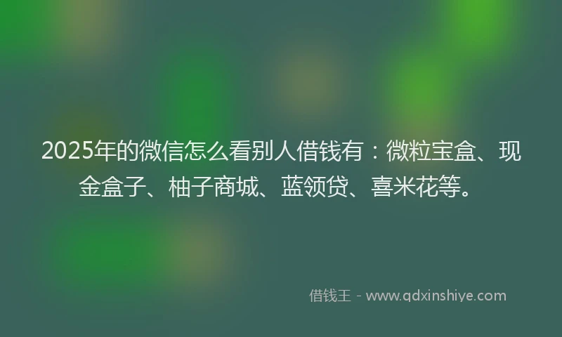 2025年的微信怎么看别人借钱有：微粒宝盒、现金盒子、柚子商城、蓝领贷、喜米花等。