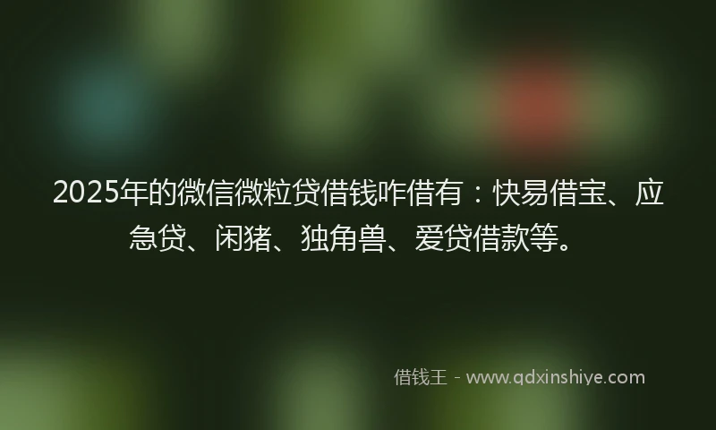 2025年的微信微粒贷借钱咋借有：快易借宝、应急贷、闲猪、独角兽、爱贷借款等。