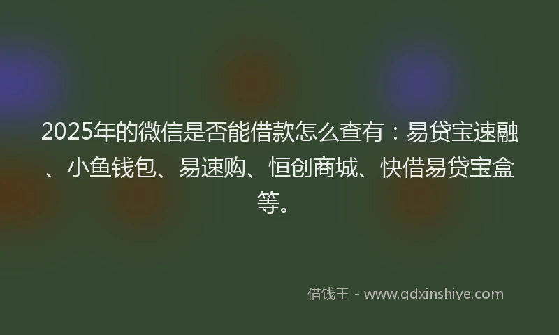 2025年的微信是否能借款怎么查有：易贷宝速融、小鱼钱包、易速购、恒创商城、快借易贷宝盒等。