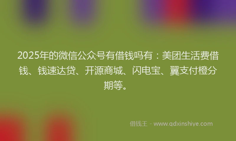 2025年的微信公众号有借钱吗有：美团生活费借钱、钱速达贷、开源商城、闪电宝、翼支付橙分期等。