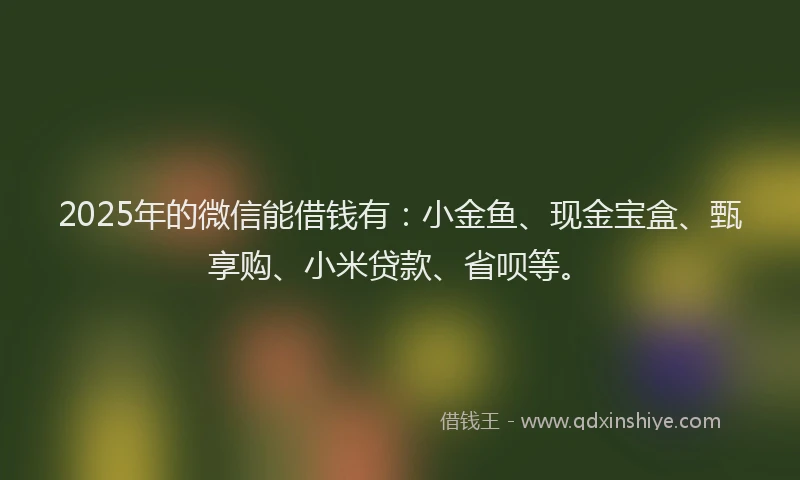 2025年的微信能借钱有：小金鱼、现金宝盒、甄享购、小米贷款、省呗等。